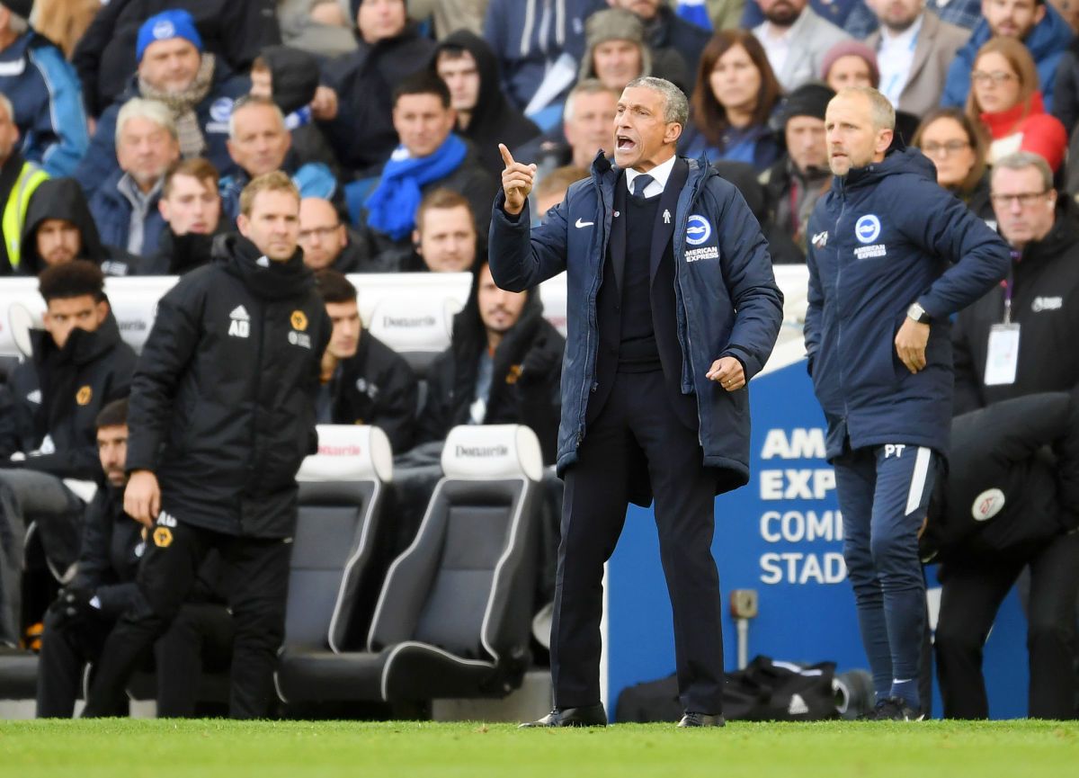 brighton-hove-albion-v-wolverhampton-wanderers-premier-league-5bd4a7a527750f035c000002.jpg
