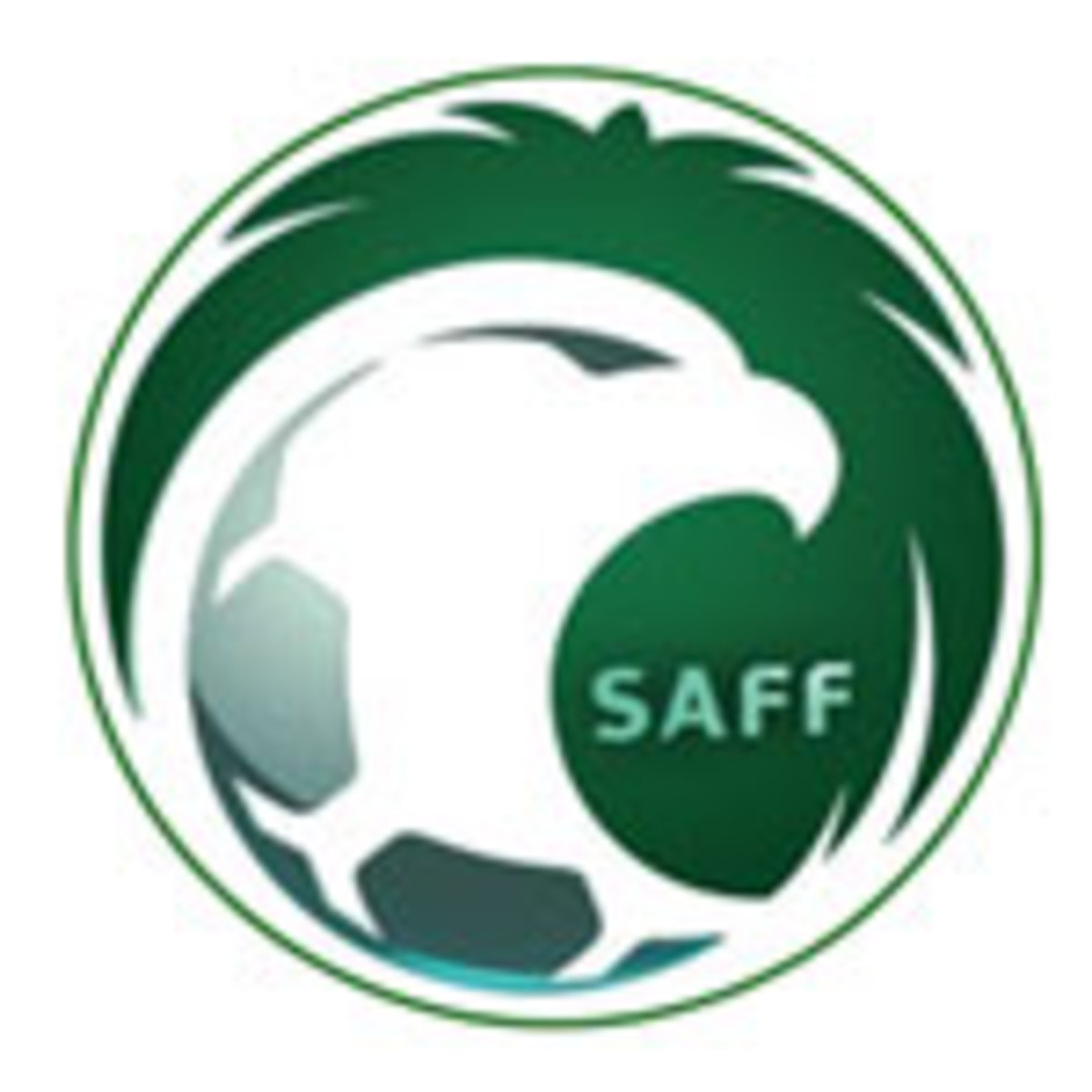 saudi-arabia-world-cup-logo.jpg