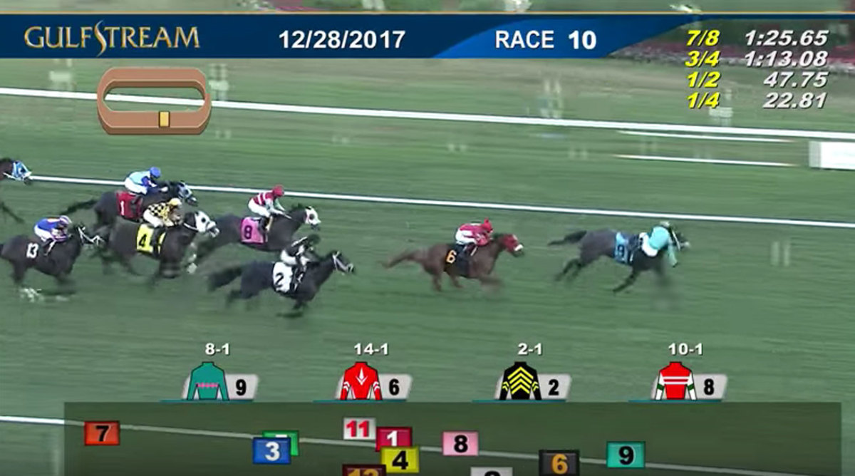 Jockey falls off horse at finish line costing bettor 571,744 Sports