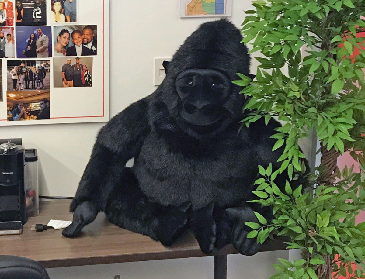 The gorilla in the Browns’ offensive line room.