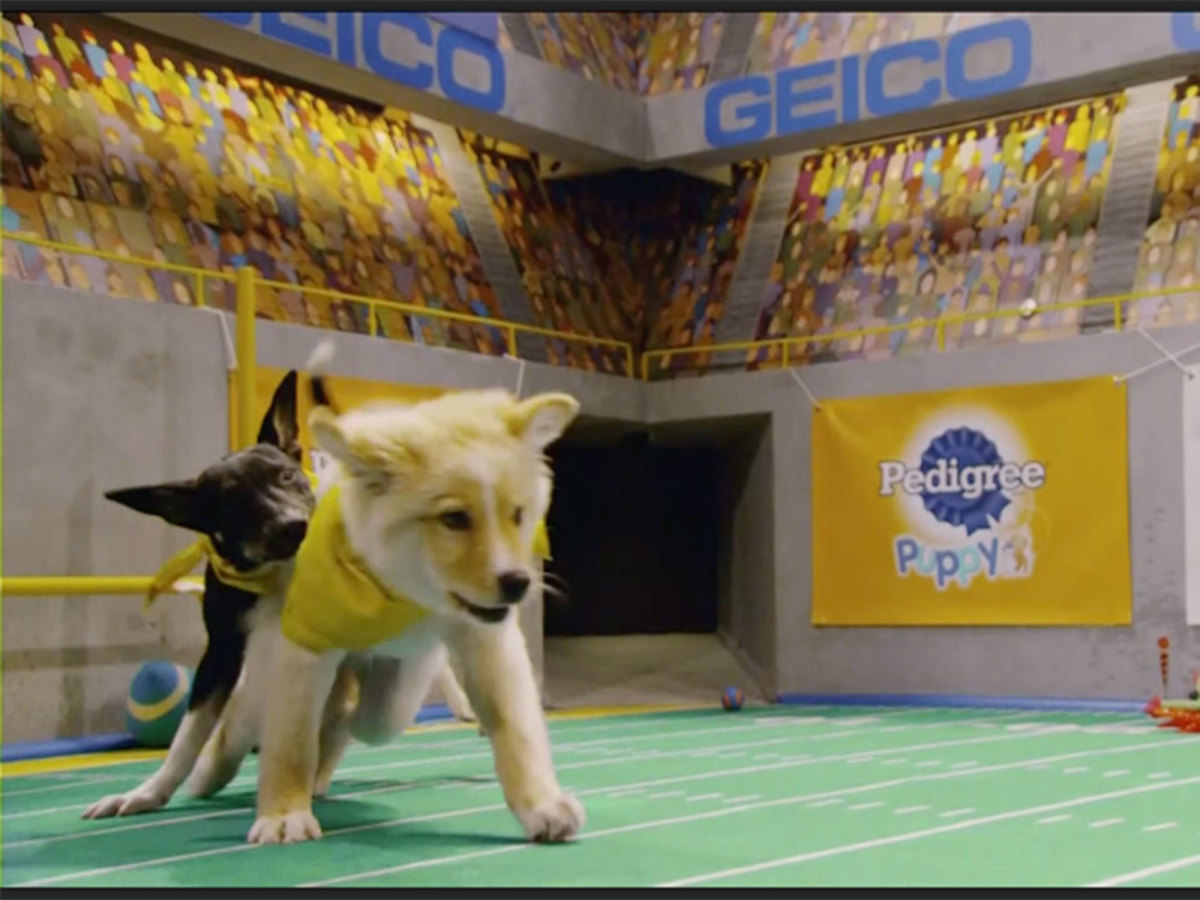 blitz-puppy-bowl.jpg