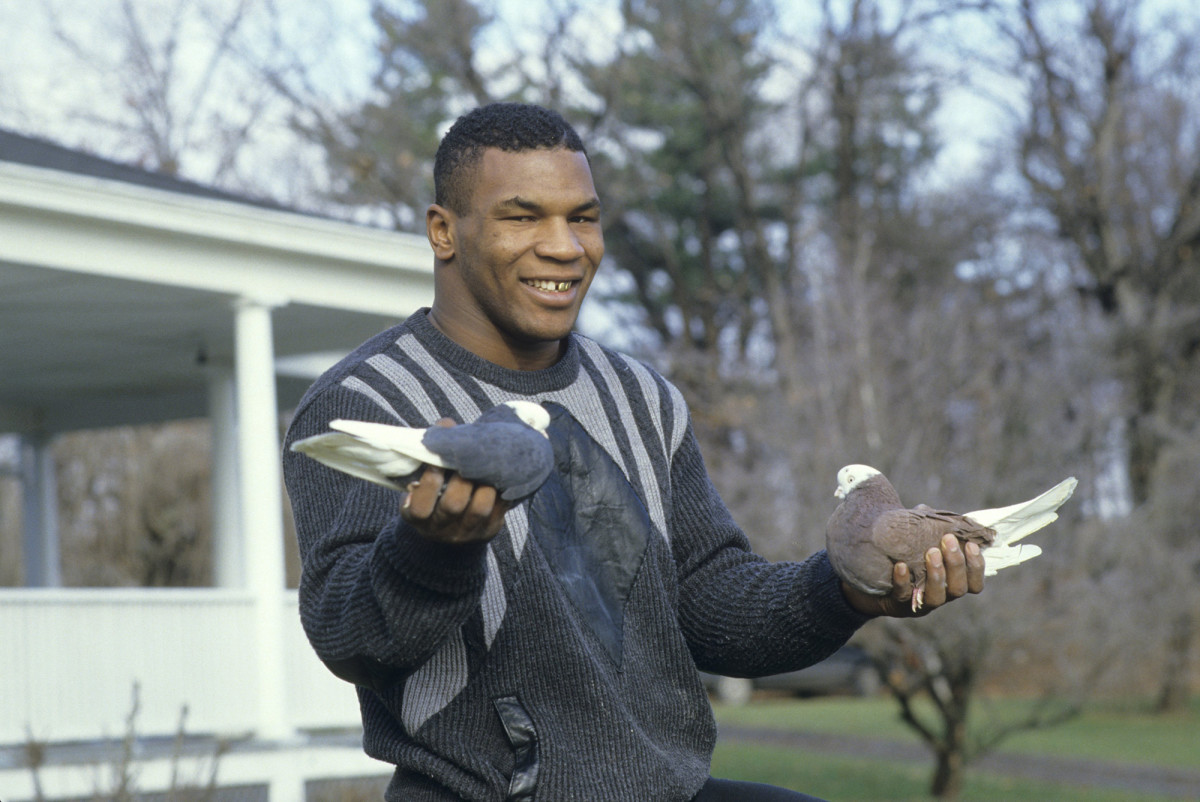 mike-tyson-pigeons.jpg