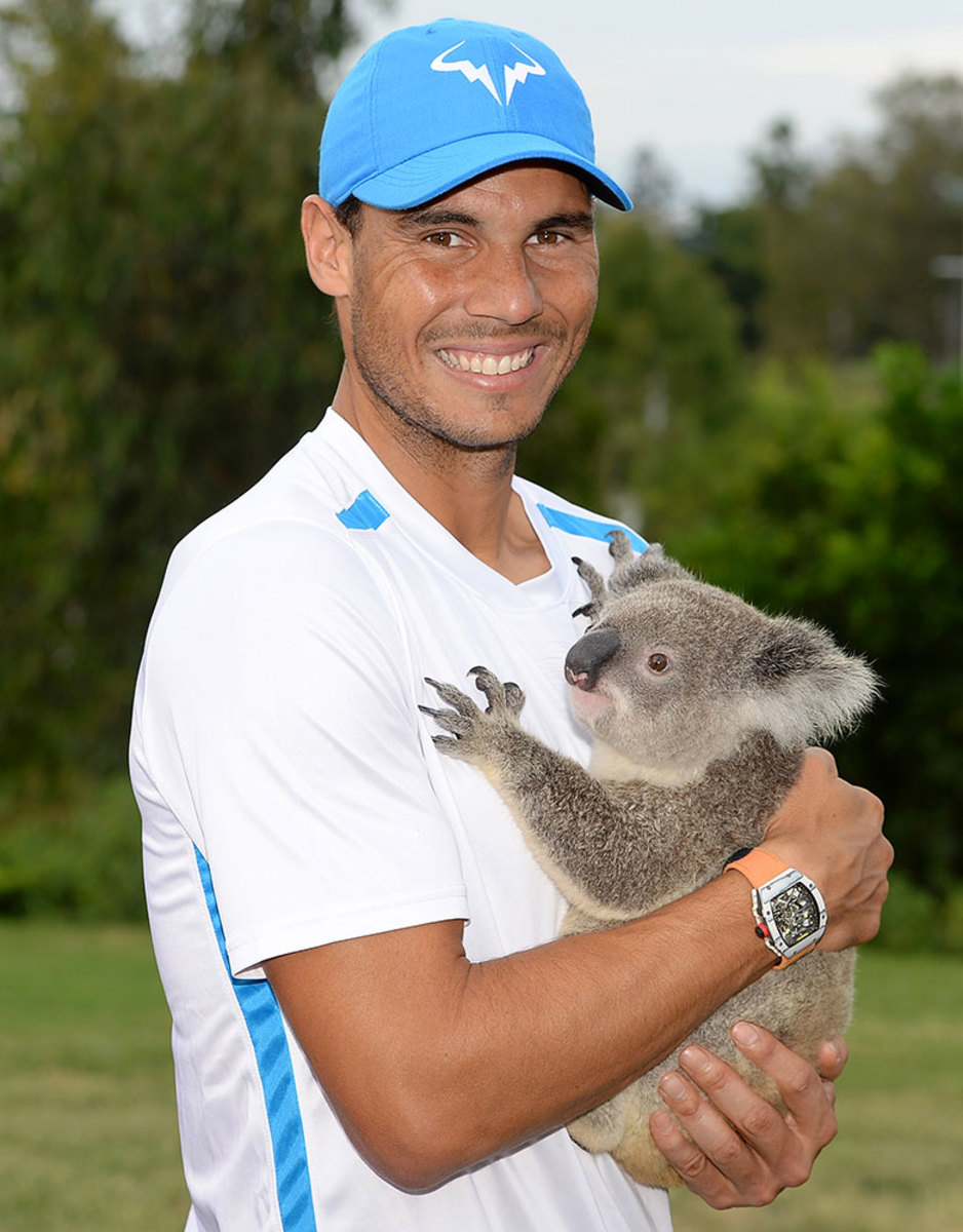 2017-0102-Rafael-Nadal-koala-bear.jpg