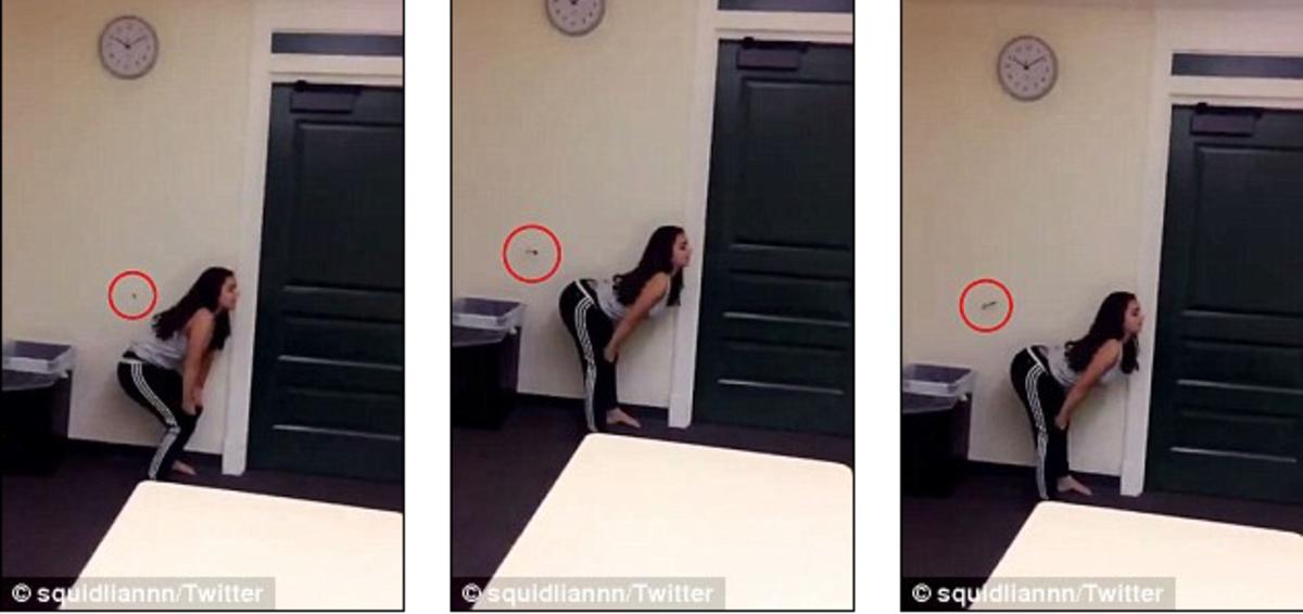 Screen Shot 2017-03-06 at 1.50.37 PM.png