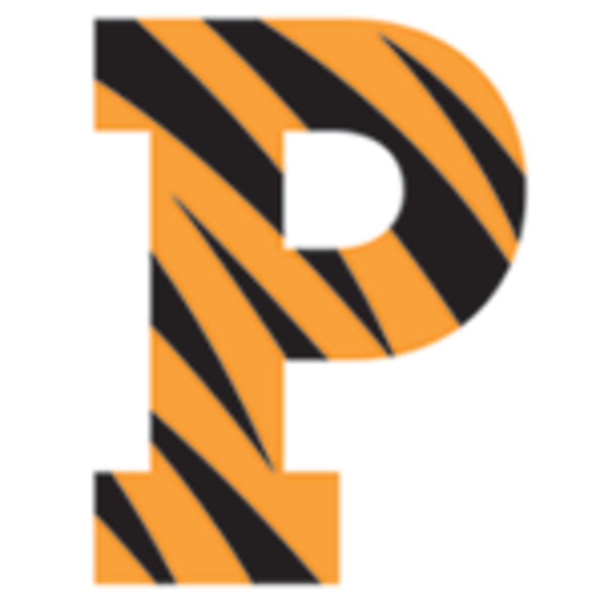 Image placeholder title