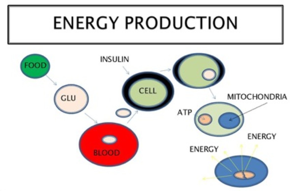 Energy Production.jpg.jpeg