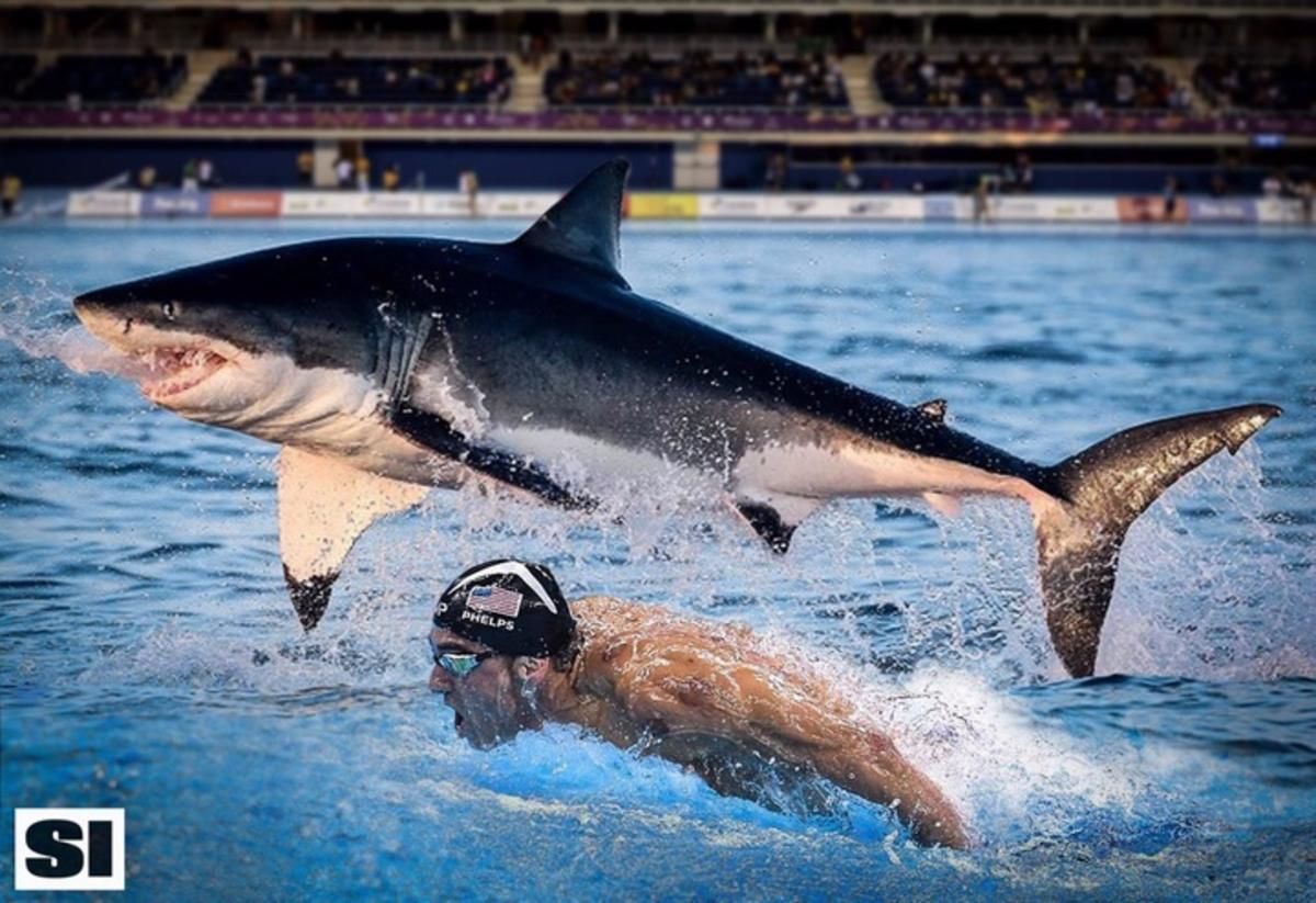 phelps-shark.jpg