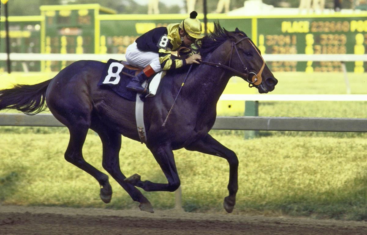 051817_Preakness_Seattle_Slew.JPG