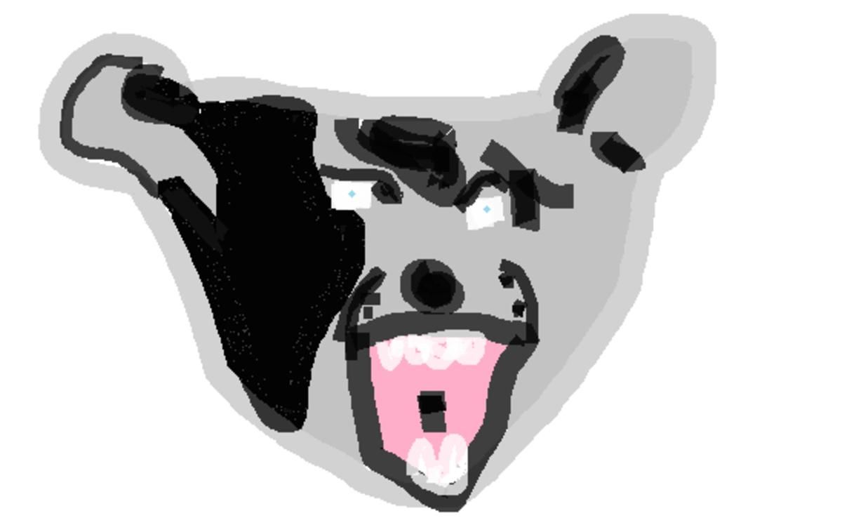 maine.png
