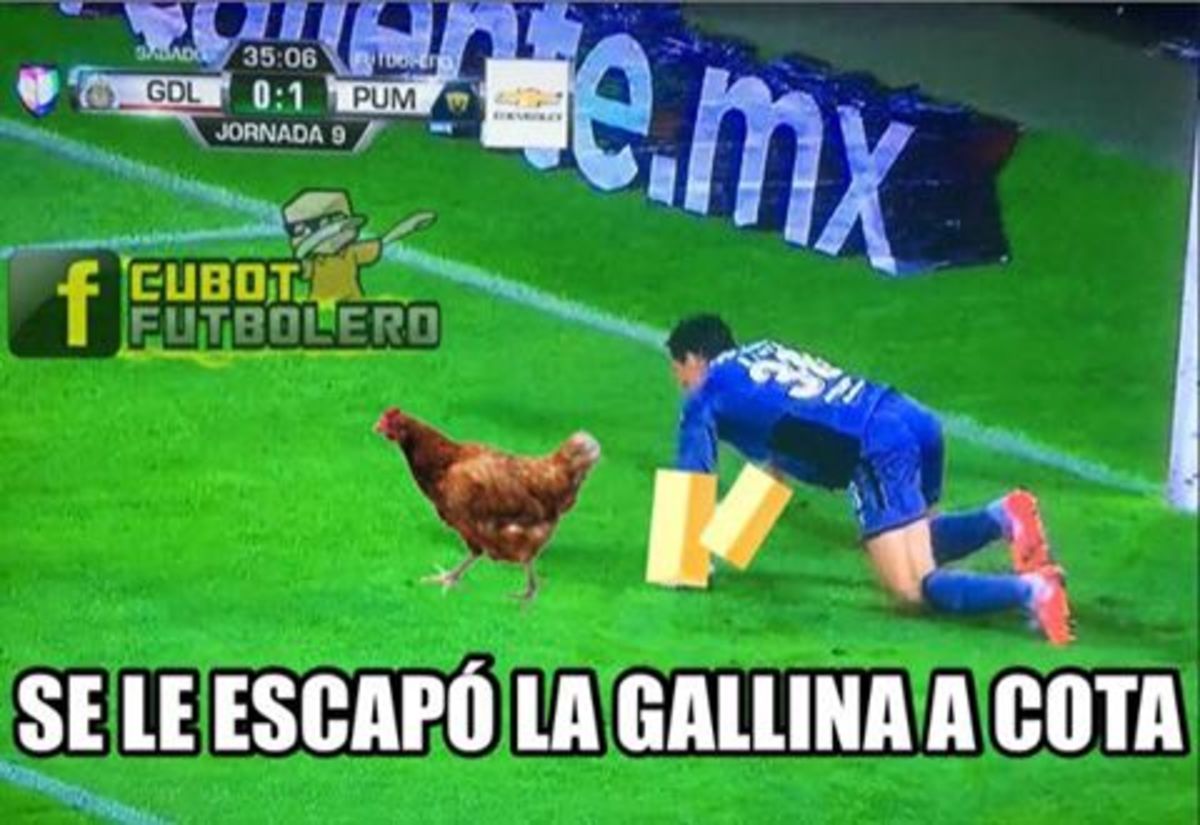 PoR aLGo 🤷🏻\u200d♀️ SoY DoCeNTe!!, 🤣😬😋😉, image size:1200x825