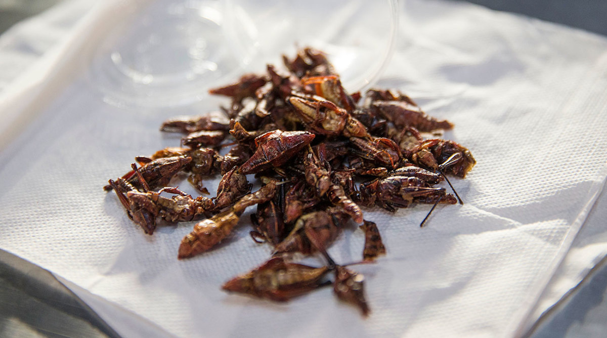 Grasshoppers from Safeco Field. 