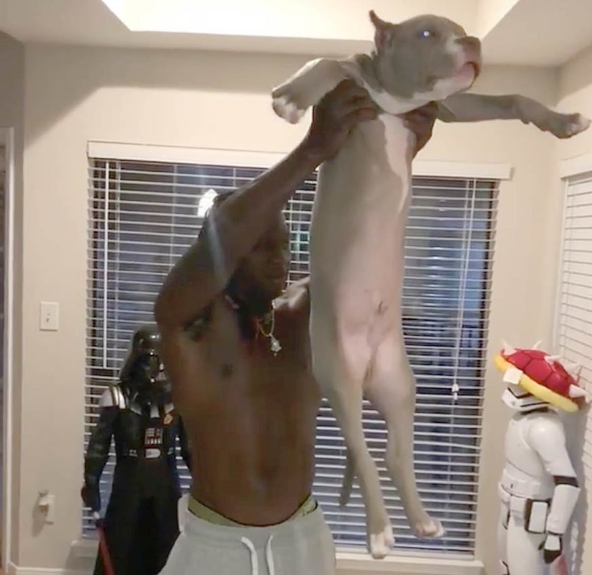 whitehead-dog.jpg