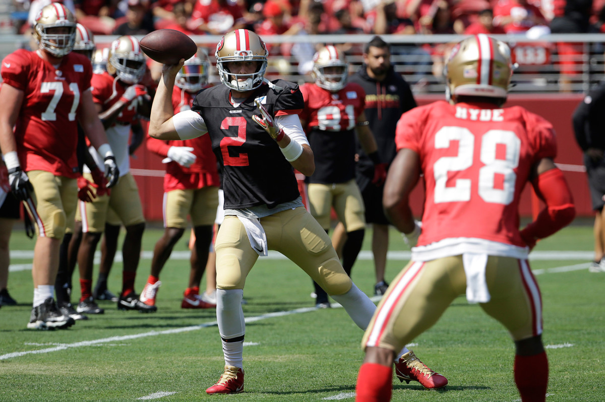 The 49ers are the seventh NFL team in nine seasons for quarterback Brian Hoyer.