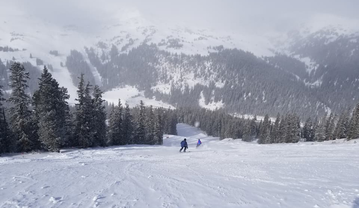 At least for now, Kevin Williams has found new ways to spend his Sunday afternoons.