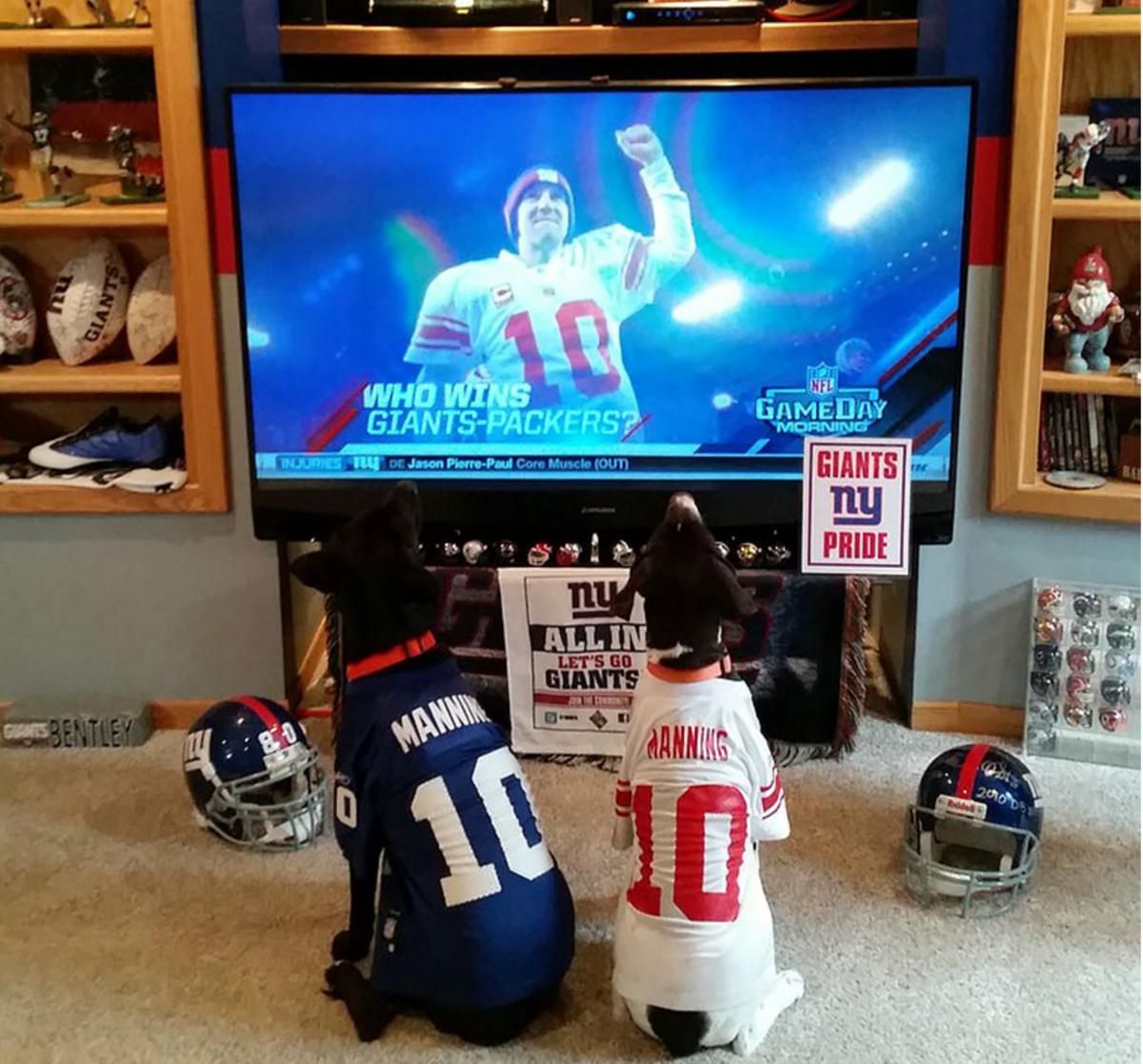 eli-manning-dog.jpg