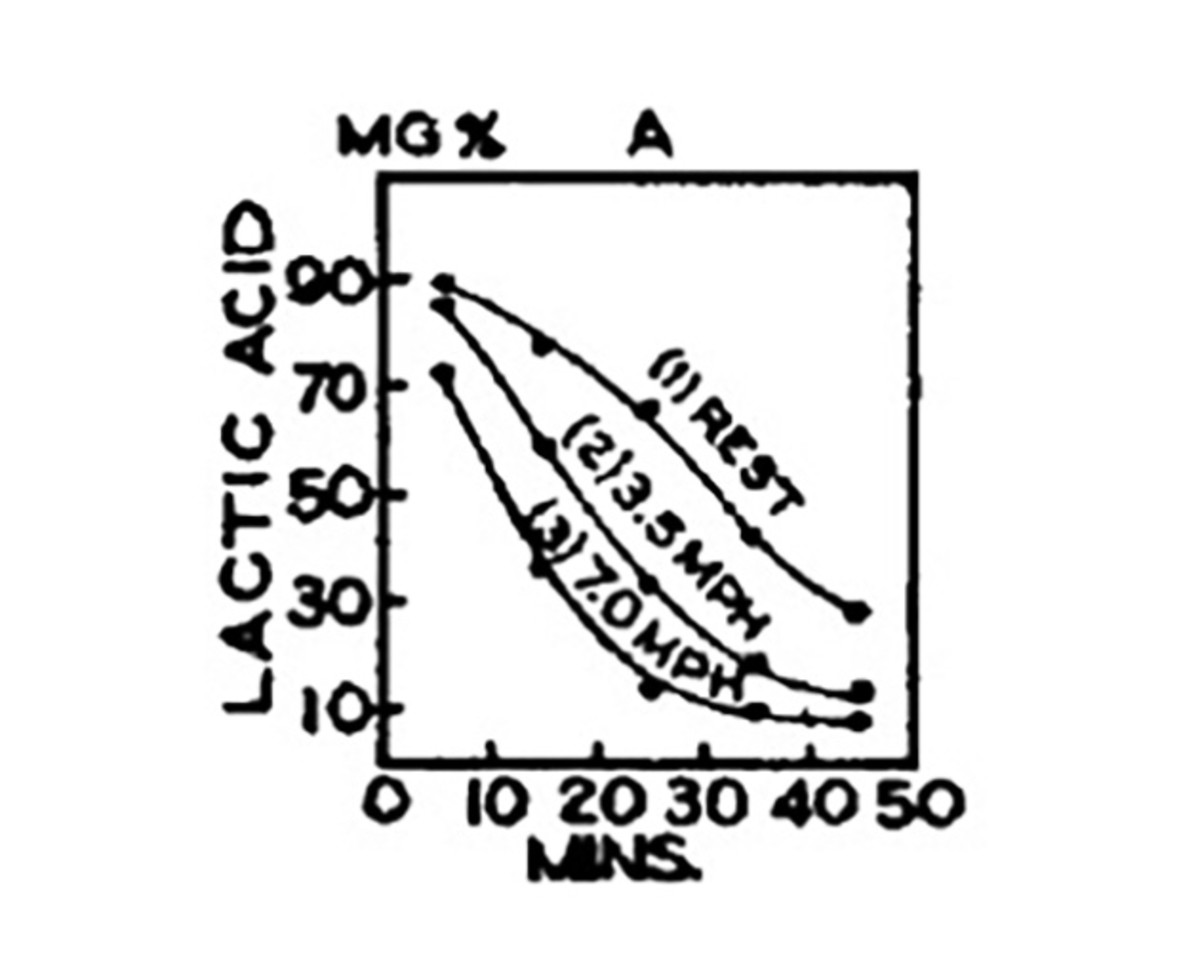 lactic-acid-study-graph.jpg