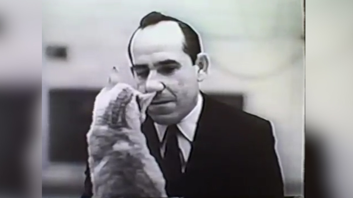 Mustard Minute TBT Yogi Berra talks to a cat in old cat food commercial Sports Illustrated