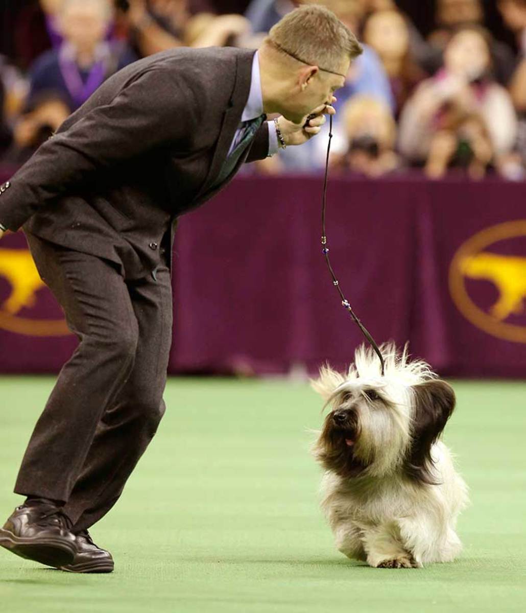 The Night in sports feb 16_361940023241.jpg