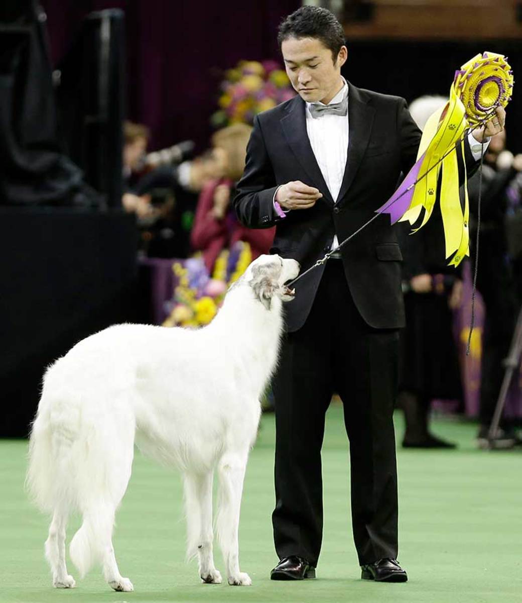 The Night in sports feb 16_95699156221.jpg