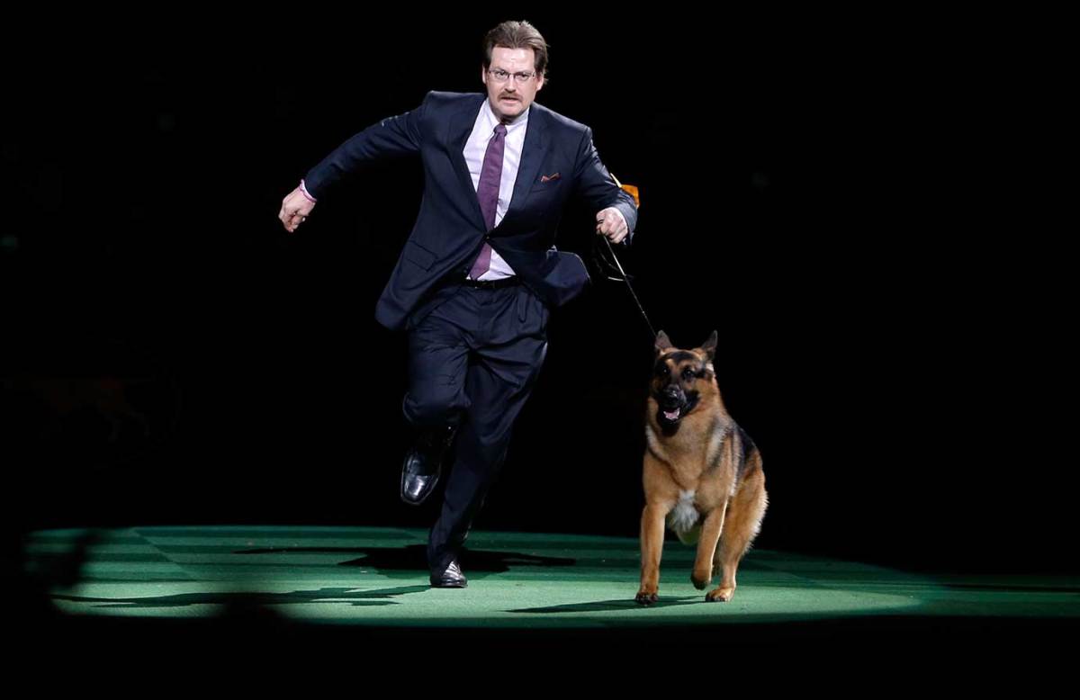 The Night in sports feb 16_882371955726.jpg