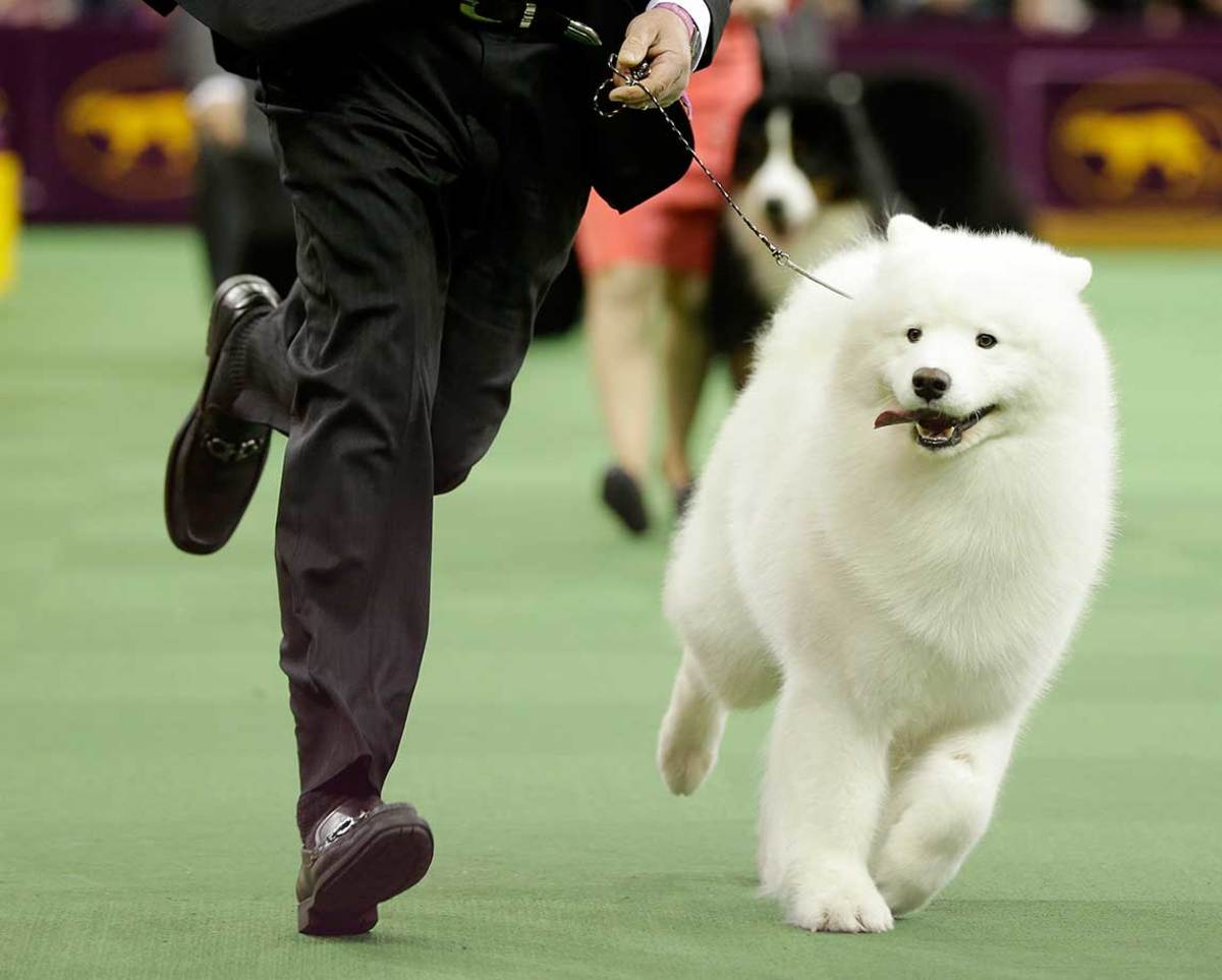 The Night in sports feb 16_753229709828.jpg