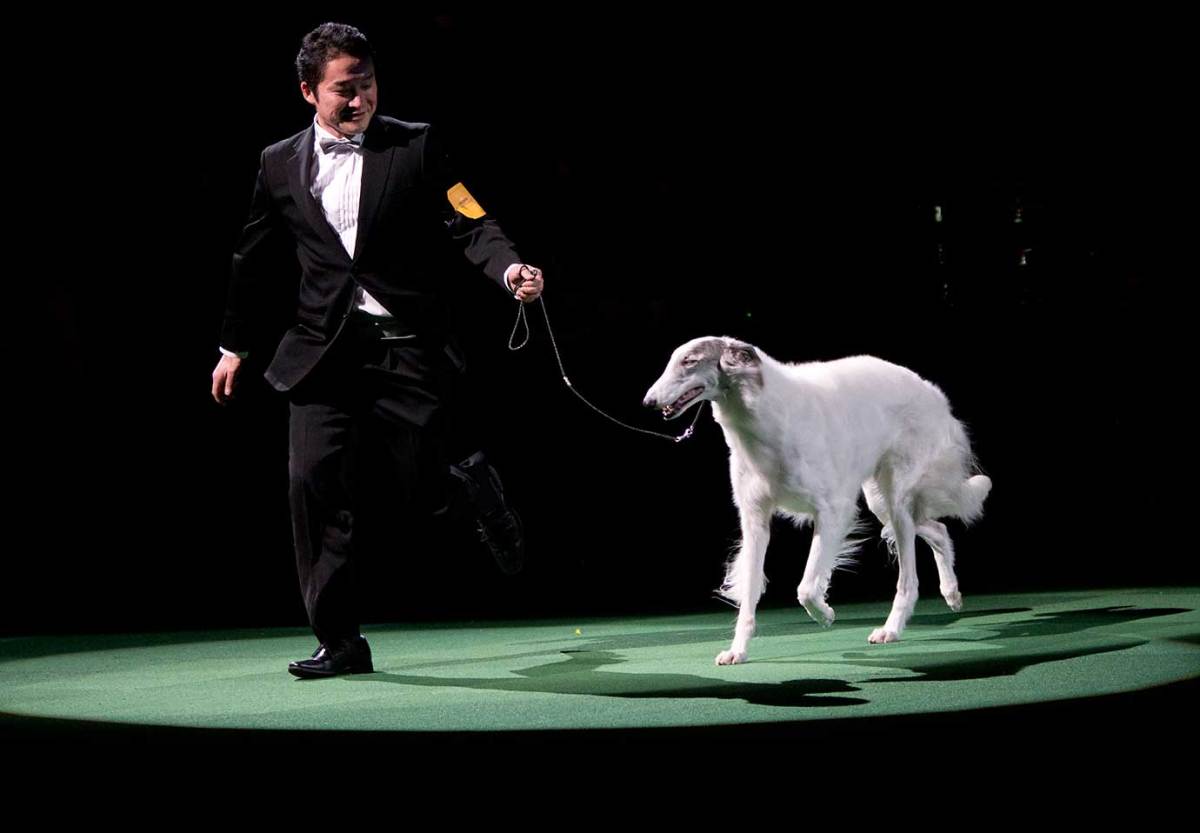 The Night in sports feb 16_354846698019.jpg