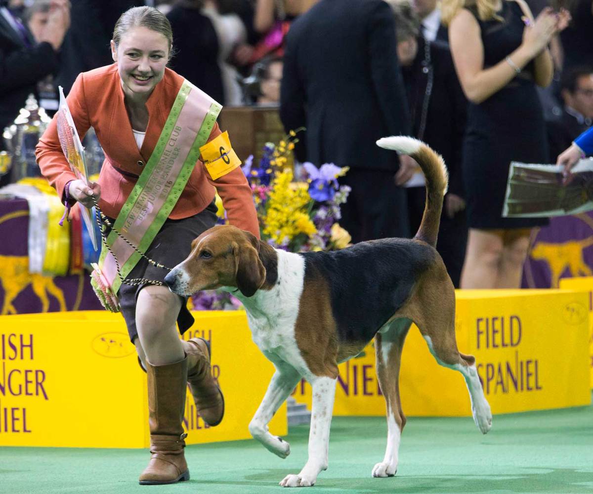 The Night in sports feb 16_567128583286.jpg