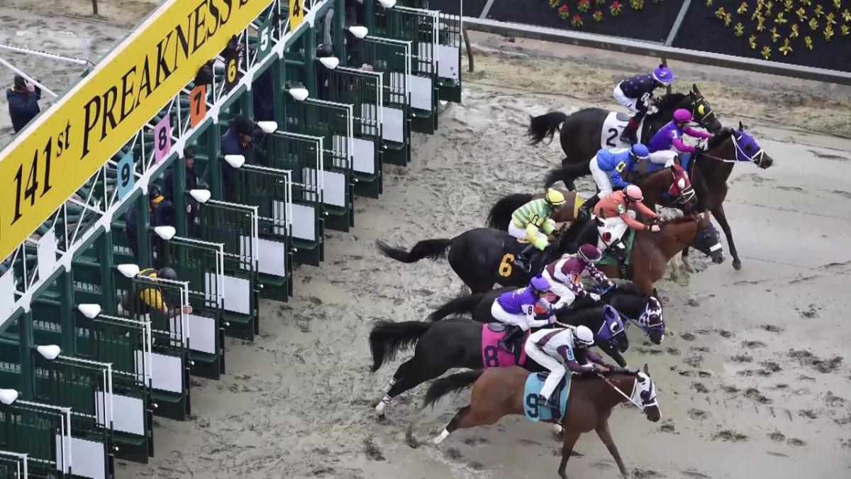Two horses die after Preakness undercard races Sports Illustrated