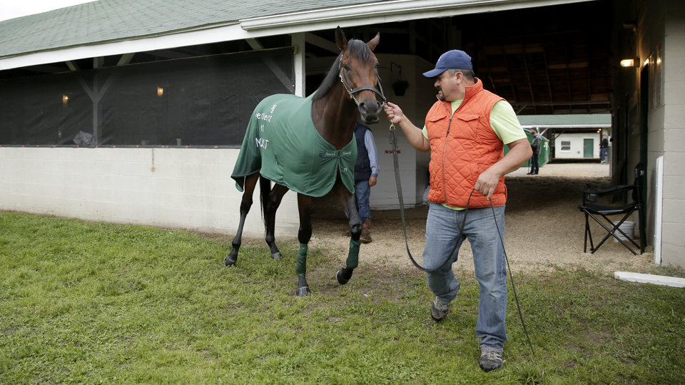 Kentucky Derby post positions Horse and jockey information Sports