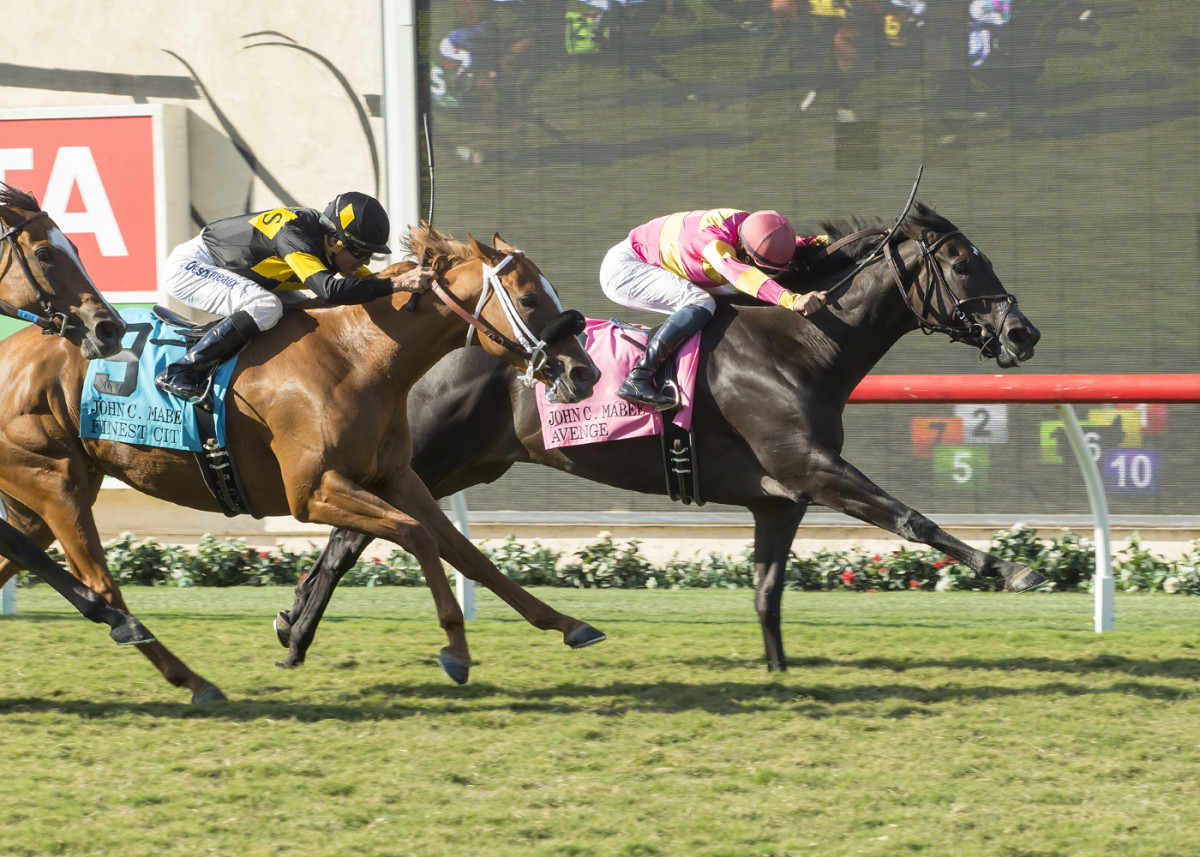 Free Rose wins Del Mar Derby; Avenge wins Mabee at Del Mar Sports