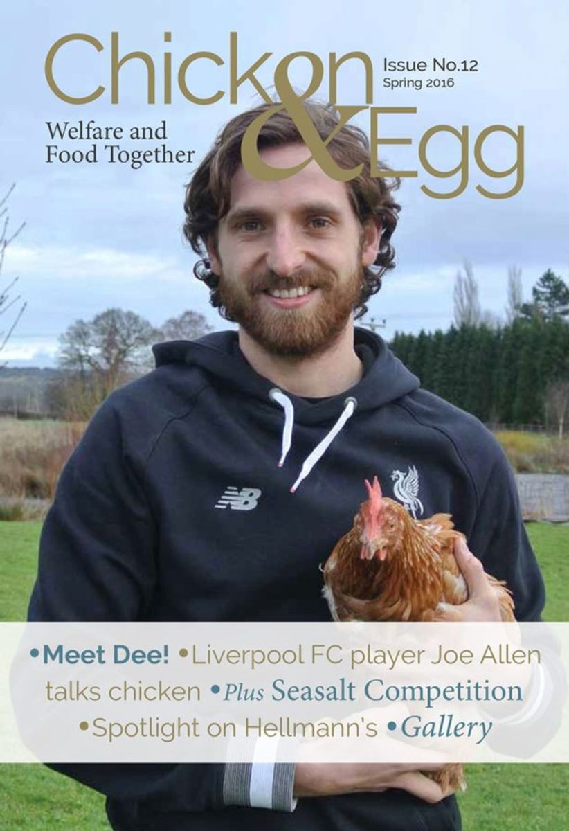 joe-allen.jpg