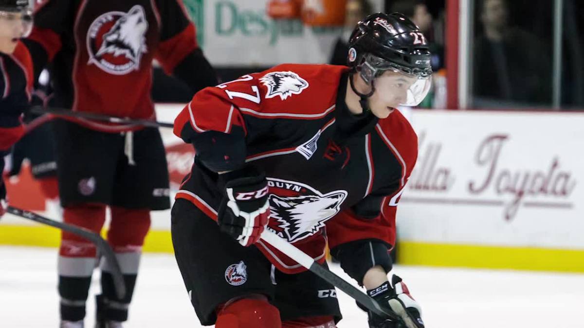 Watch canadian hockey ref get hit in groin by beer can Sports Illustrated