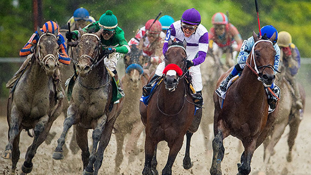 preakness-exaggerator-nyquist-2016.jpg