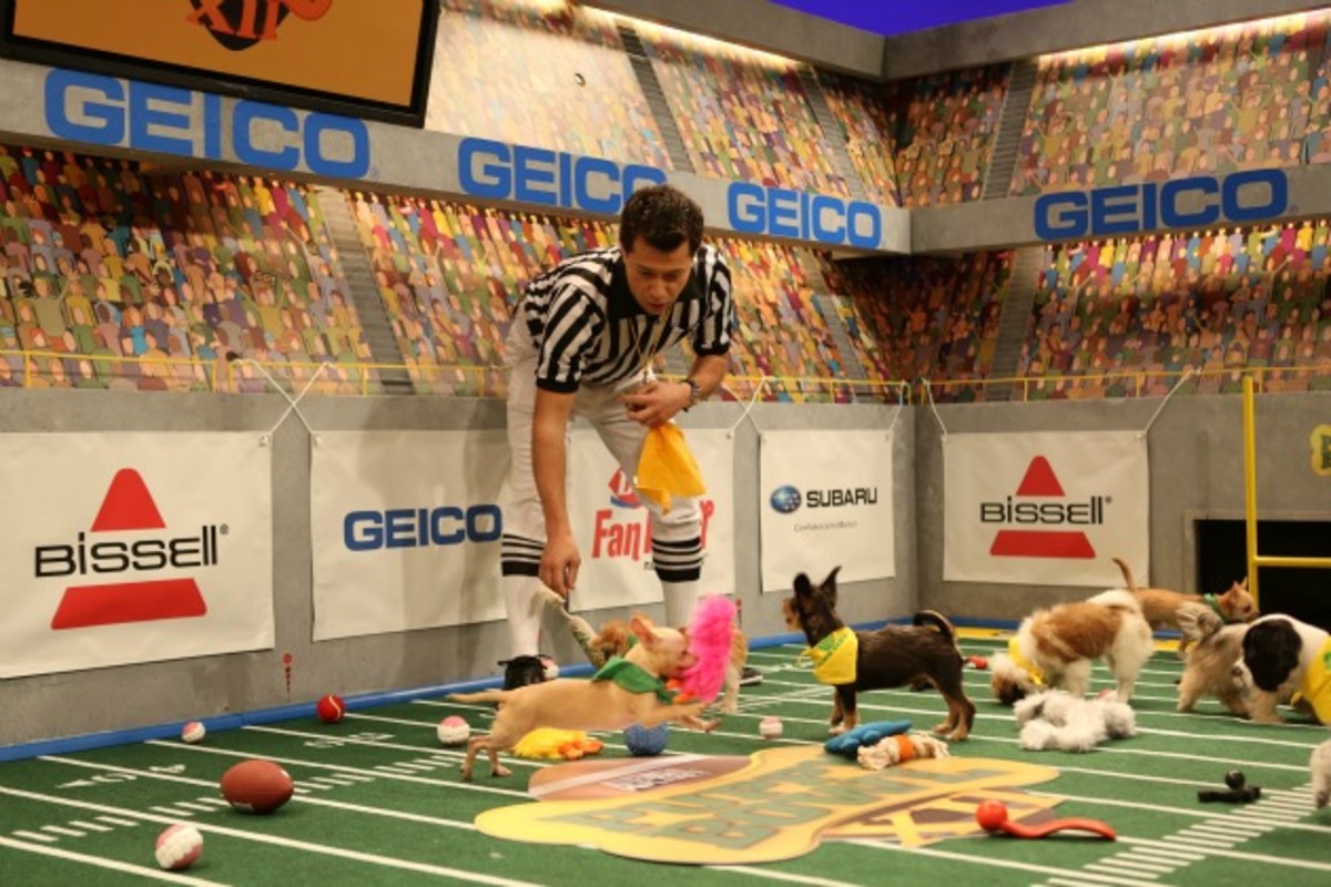 puppy-bowl-3.jpg