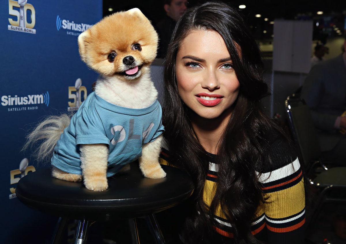 2016-0205-Jiffpom-Adriana-Lima.jpg