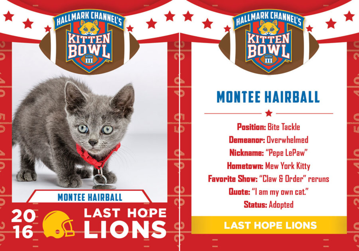 Hallmark_KB3_LastHopeLions_Final7.jpg