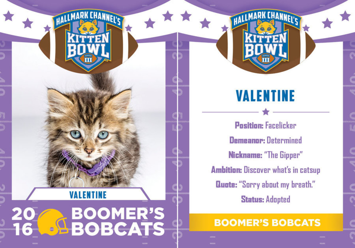 Hallmark_KB3_BoomersBobCats_Final2.jpg