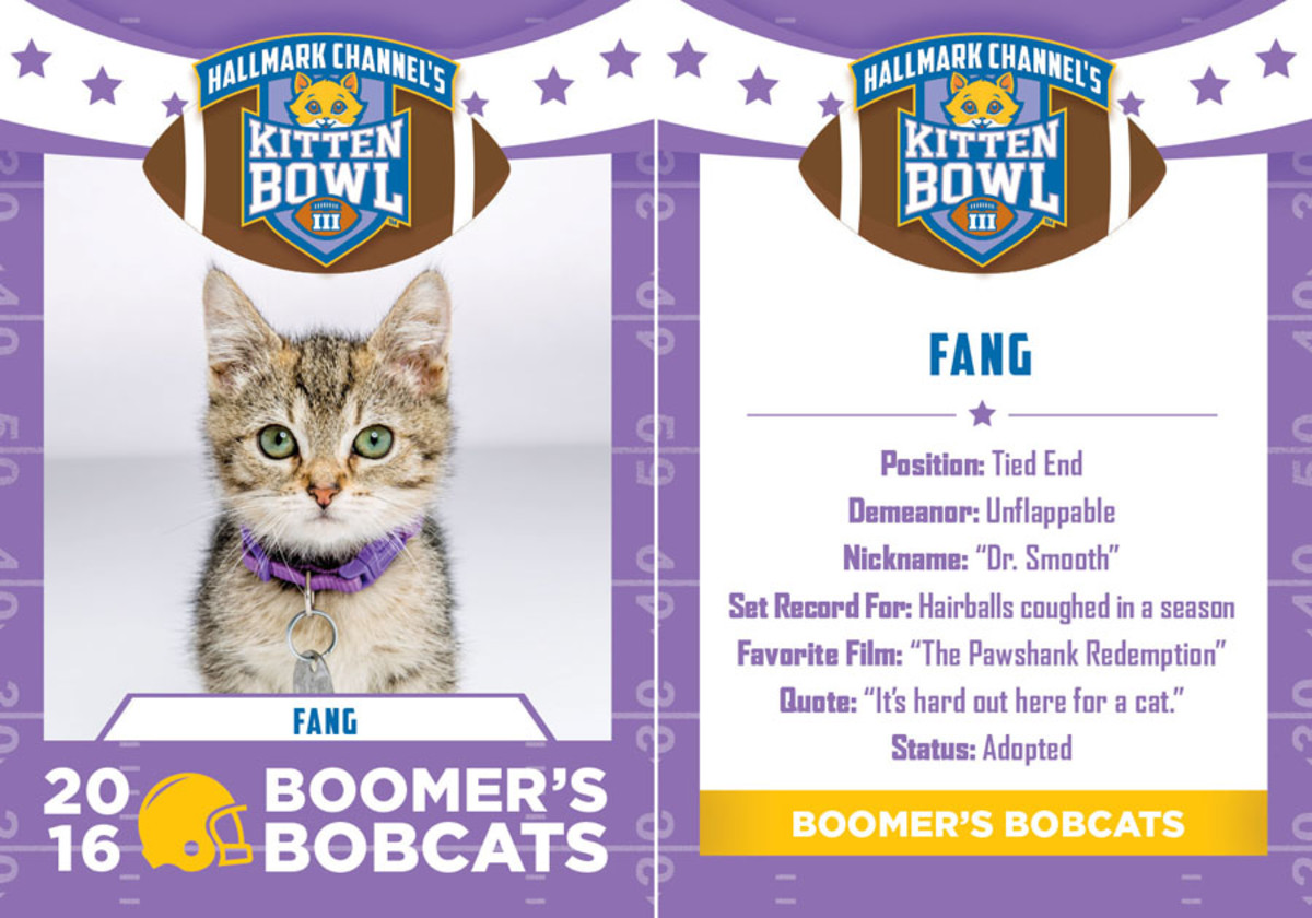 Hallmark_KB3_BoomersBobCats_Final5.jpg