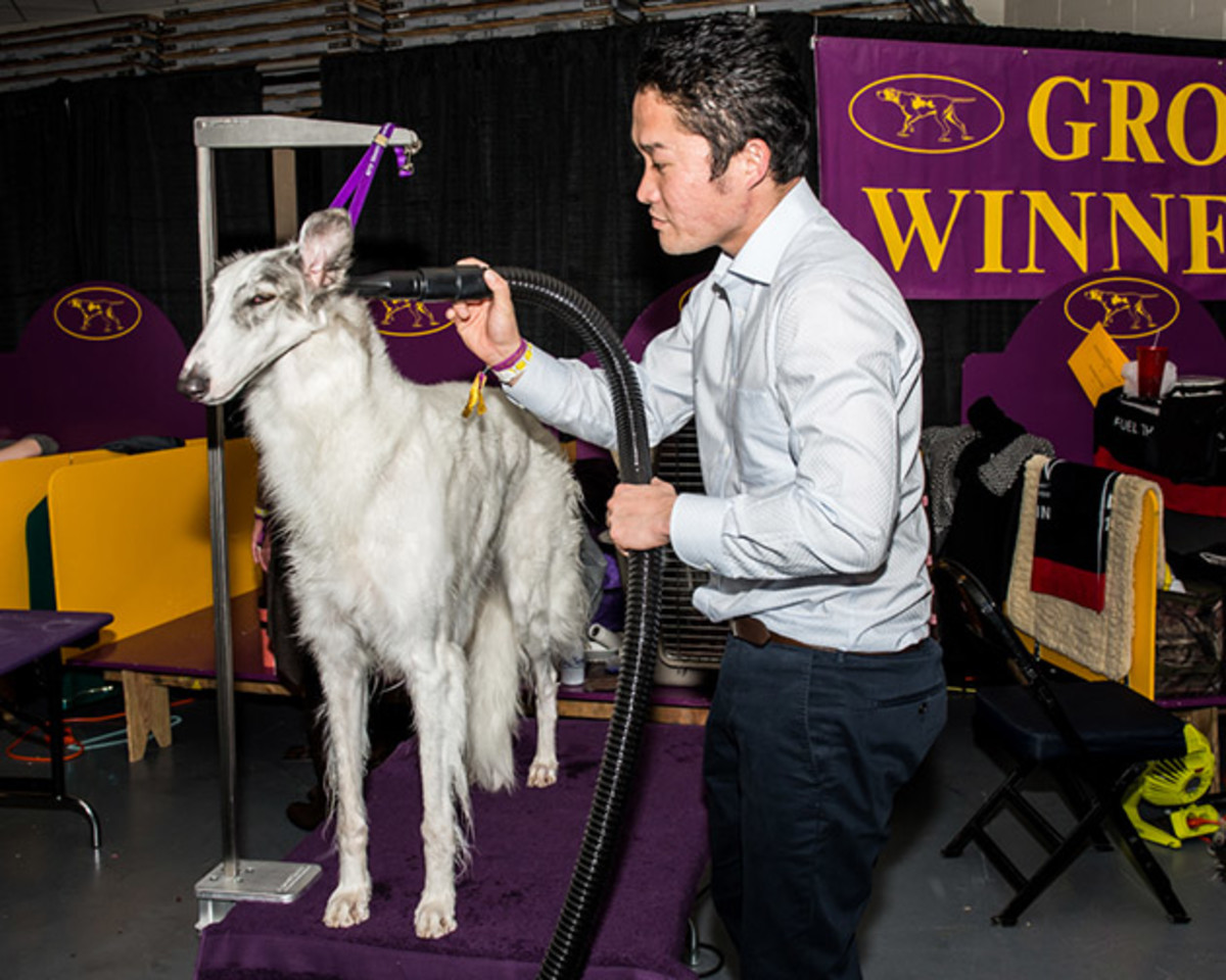 Borzoi backstage (1 of 1).jpg