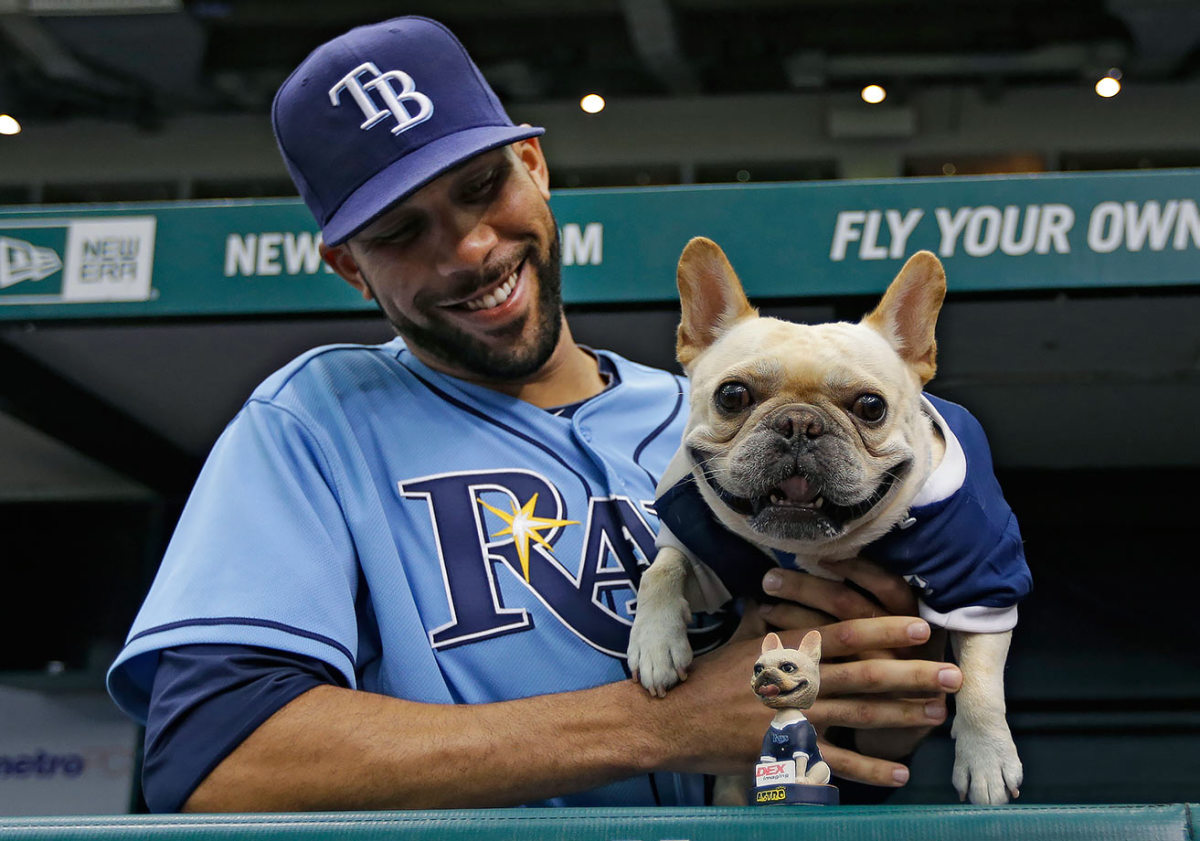 2013-0421-David-Price-dog-Astro.jpg