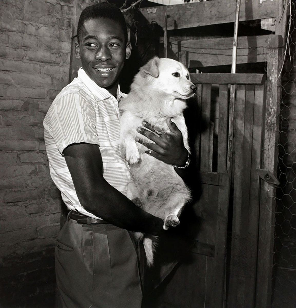 1958-Pele-dog_0.jpg