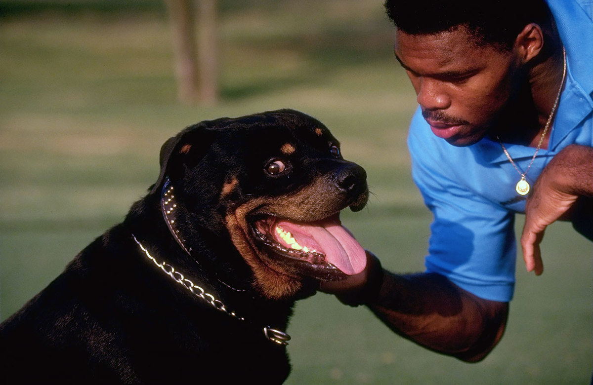 1994-0617-Herschel-Walker-rottweiler-Al-Capone-05185408.jpg