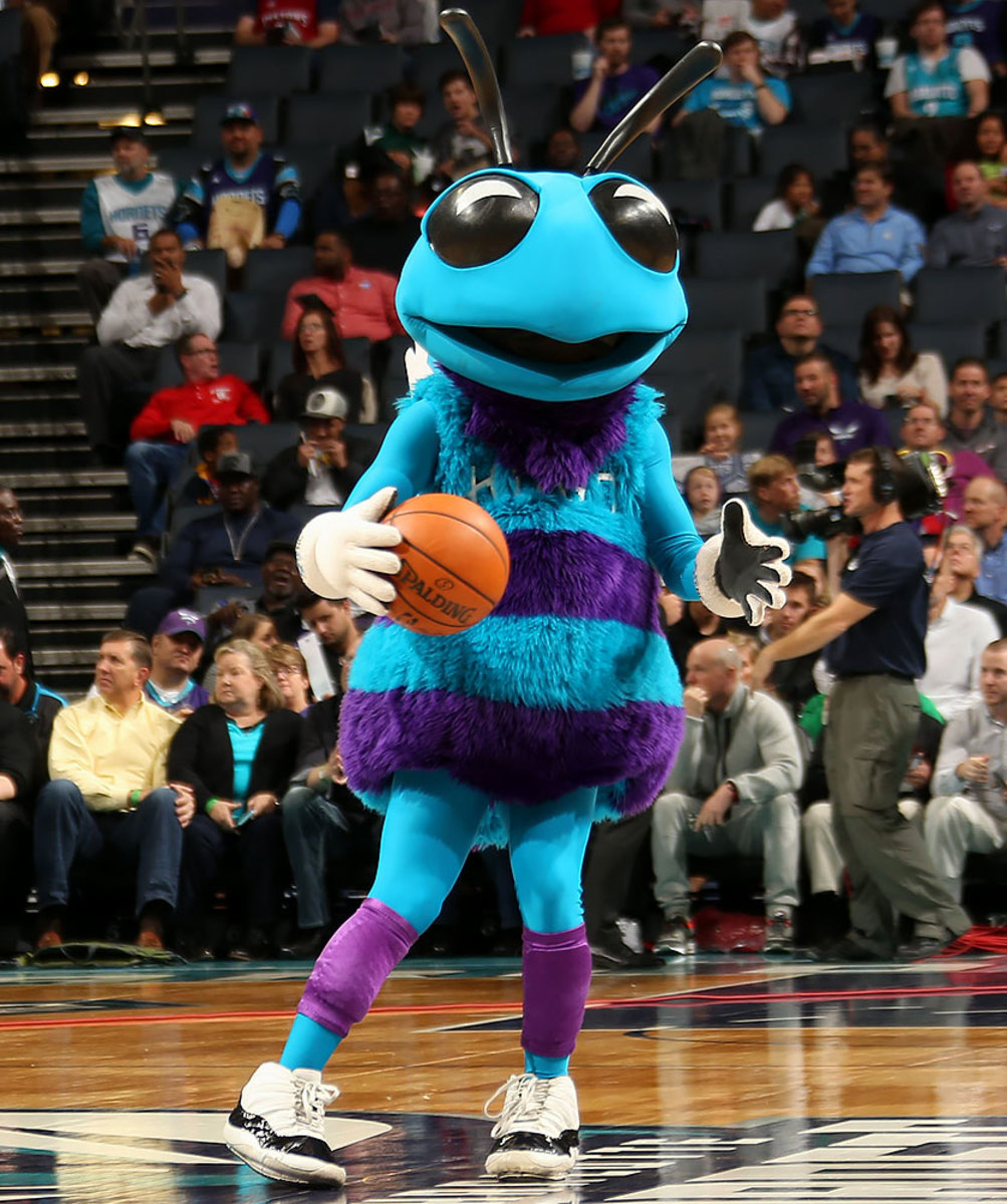 Charlotte-Hornets-mascot-Hugo-the-Hornet.jpg