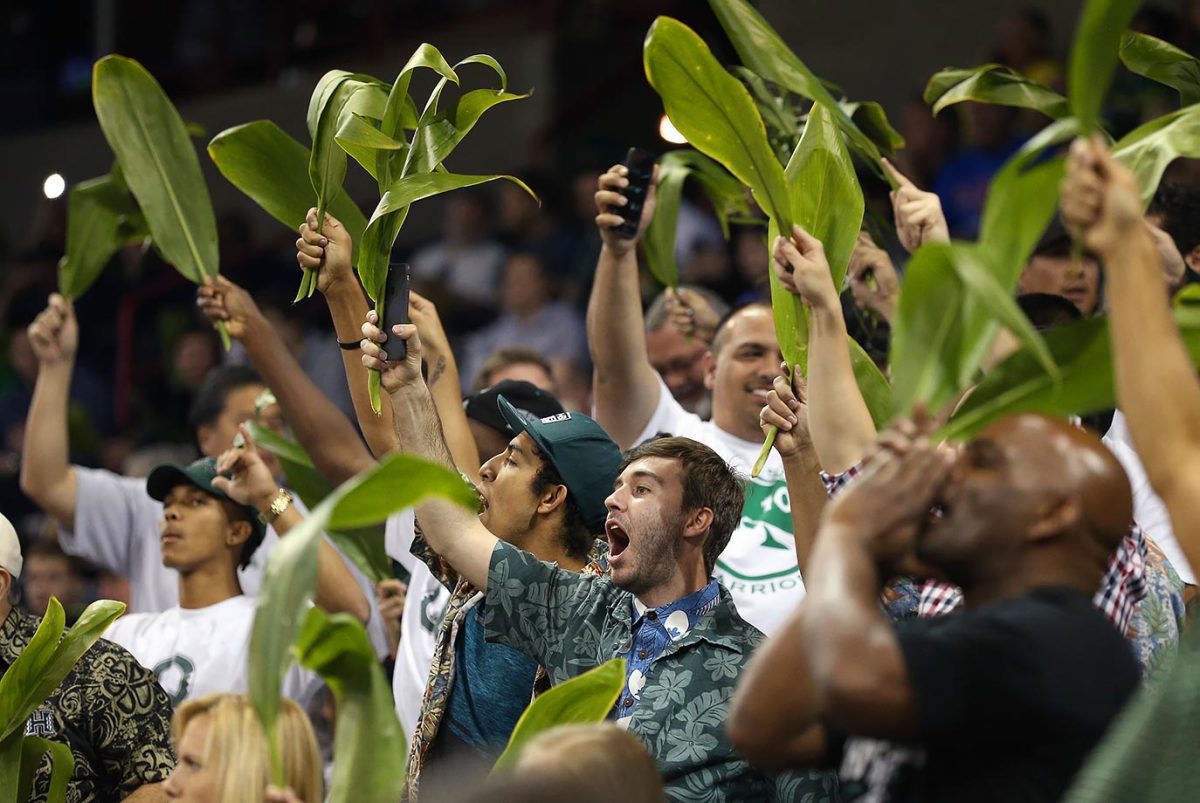 2016-0320-Hawaii-fans-516738272.jpg