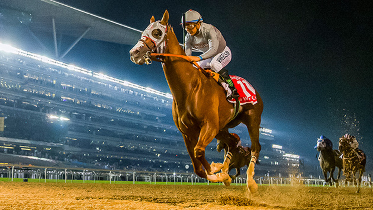 california-chrome-630-dubai-2016.jpg