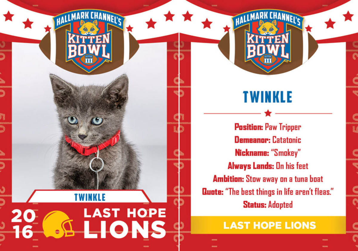 Hallmark_KB3_LastHopeLions_Final12.jpg
