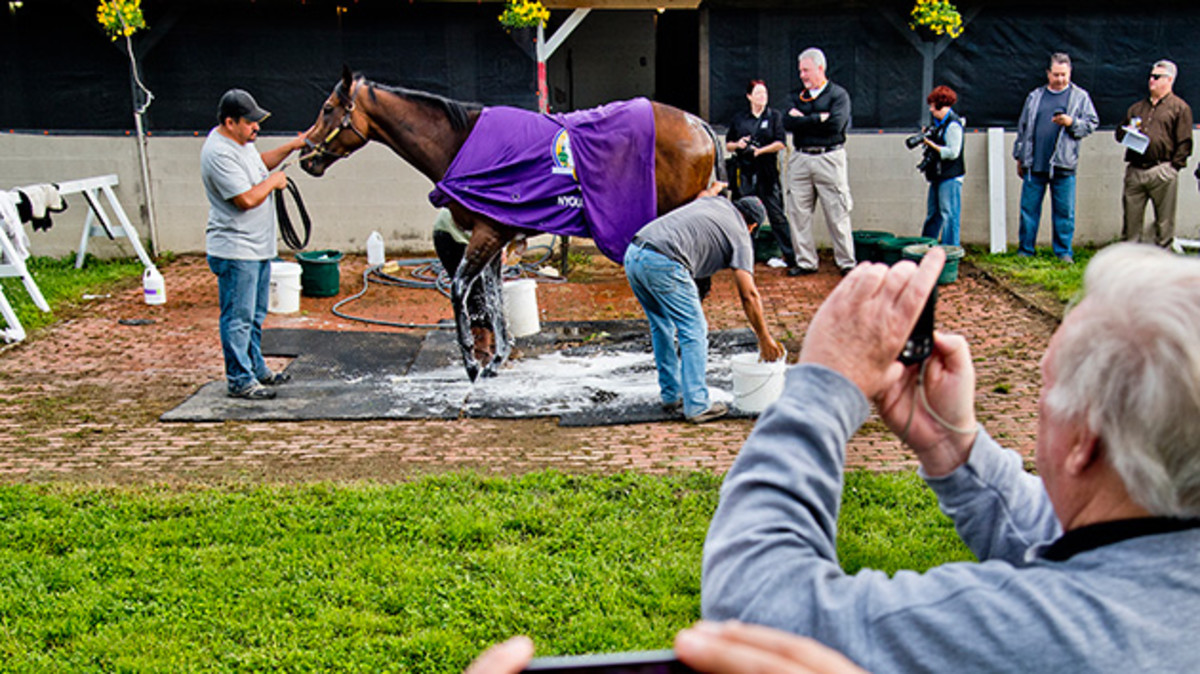 nyquist-630-kentucky-derby-wash.jpg