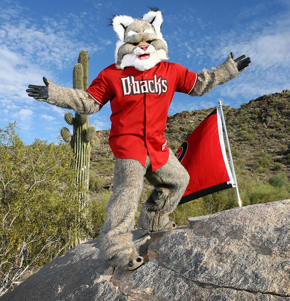 Arizona-Diamondbacks-mascot-D-Baxter-the-Bobcat.jpg