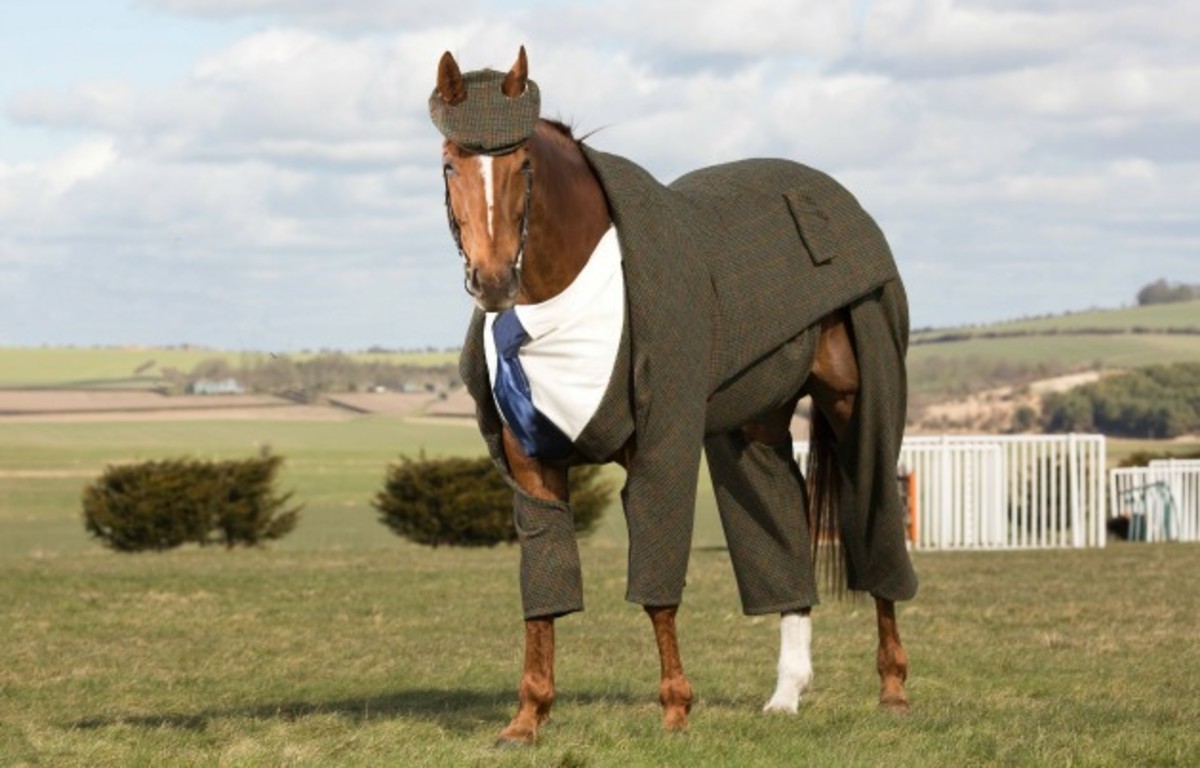 harris-tweed-three-piece-suit-horse-cheltenham.jpg