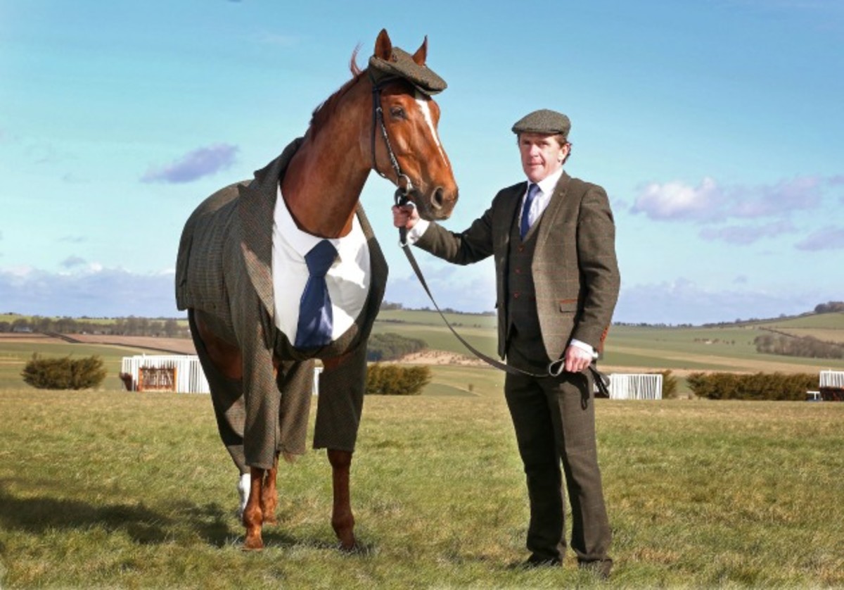 Harris-Tweed-suit-race-horse-cheltenham-1.jpg